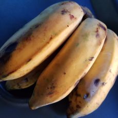 Extravegant in Kuba – Alles Banane oder was?
